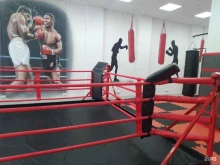 спортивная секция Академия бокса в Мытищах