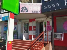модная одежда Клевер в Южноуральске