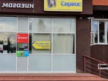 компания Электроник-сервис в Сыктывкаре