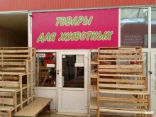 Зоотовары Zooмагазин в Ставрополе
