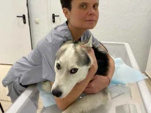 Ветеринарные клиники Ветеринарный кабинет №1 в Екатеринбурге