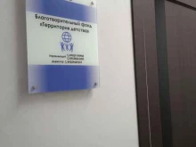 благотворительный фонд Территория детства в Красноярске