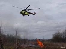 Организации природоохраны Тюменская база авиационной и наземной охраны лесов в Тюмени