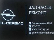 Компьютерная диагностика автомобилей Опель сервис в Омске