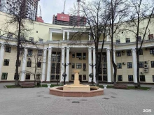 Автомарьяж, улица Сергея Эйзенштейна, 8 