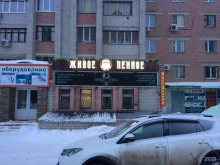 магазин разливного пива Пивница в Воронеже