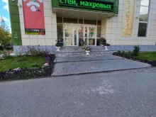 Интернет-провайдеры Метросеть в Лангепасе
