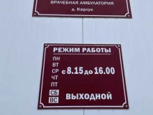 Врачебные амбулатории Врачебная амбулатория д. Карлук в Иркутске