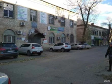 компания Деловая Бухгалтерия в Волгограде