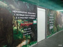 компания Джуманджи в Челябинске