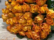 магазин цветов Кактус в Омске