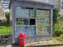 Мороженое Киоск по продаже мороженого в Чехове