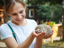 Зоопарк Наша городская ферма в Липецке