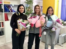 компания по продаже сайтов Modesco в Волгограде