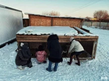 Право жить, деревня Лобазовка, 80 