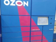 Ozonbox, Николаевский проспект, 54 
