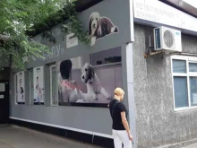 ветеринарный центр Балу в Ростове-на-Дону