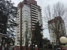 Прокат водно-спортивной техники Компания по прокату яхт и катеров в Сочи