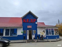 парикмахерская Кедр в Новом Уренгое