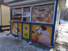 киоск по продаже мороженого Русский холод в Иркутске