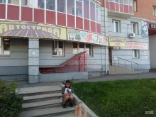 оптово-розничная компания автозапчастей, велосипедов, автомасел Автострада в Красноярске
