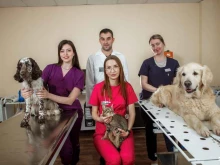 ВолгГМУ Центр ветеринарии в Волгограде