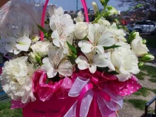 студия цветов Vertigofloral в Новороссийске