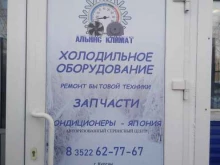 Ремонт / установка бытовой техники Альянс климат в Кургане