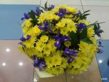 склад-магазин по продаже цветов и горшечных растений Elita Flowers в Красноярске