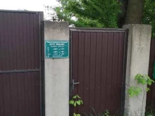 Общественные организации Мослес в Звенигороде