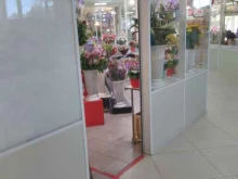 Flori_spb, проспект Народного Ополчения, 6 