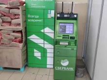 банкомат СберБанк в Павловске