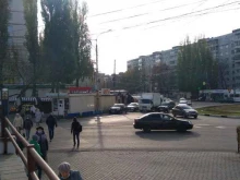 Цветы Киоск по продаже цветов в Воронеже