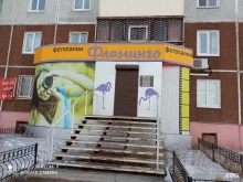 цифровой фотосалон Фламинго в Братске