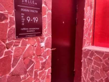 дизайн-ателье Shile.ru в Кирове