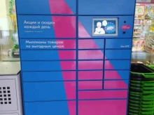 постамат №6719 Ozon Box в Кирове