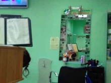 салон красоты Молодильное яблочко в Омске