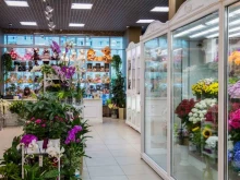 сеть флористических центров ОАЗИС в Чите