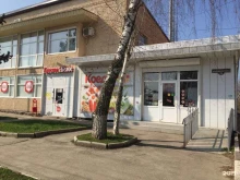 Разработка / поддержка / продвижение web-сайтов Веб-студия в Армавире