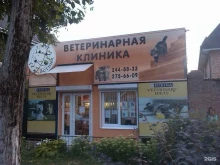 ветеринарная клиника рИмонт жЫвотных в Ростове-на-Дону