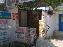 студия красоты Ева королева в Воронеже