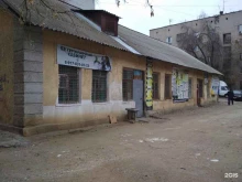 ветеринарная клиника Феникс в Волгограде