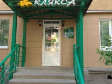 магазин канцтоваров Клякса в Нижнем Новгороде