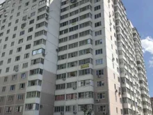 Услуги по уходу за животными Ваш грумер в Краснодаре