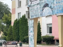 Университеты Волжский университет им. В.Н. Татищева в Тольятти