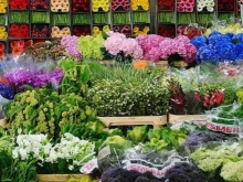 оптово-розничный склад Цветы мечты в Брянске