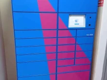 Постаматы Ozon в Кудрово