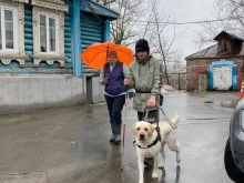 Собаки-помощники инвалидов в Балашихе