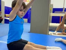 клуб спортивной гимнастики Dinastia в Сочи