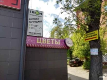 сервисная компания Trion в Твери